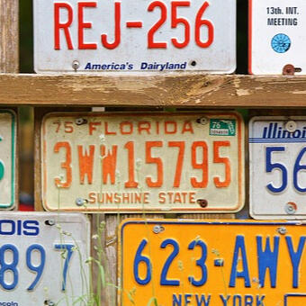 Florida License Plate Search